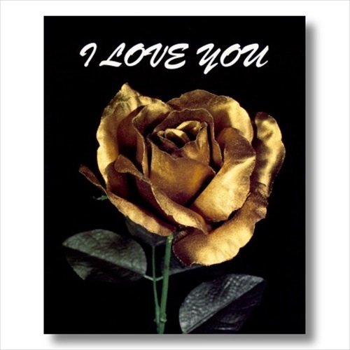 Rose Flower Wall Art - Gold 16x20 Art Print | Love You Rose Print, Ready to Frame