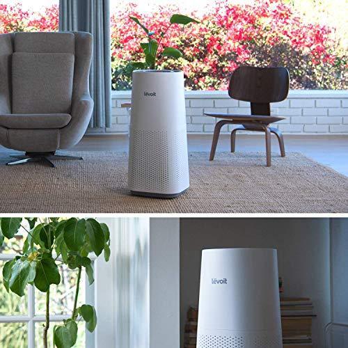 LEVOIT Air Purifier for Home Large Room with H13 True HEPA Filter - Gifts for You 'n Me