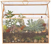 D'Eco Glass House Plant Terrarium (10