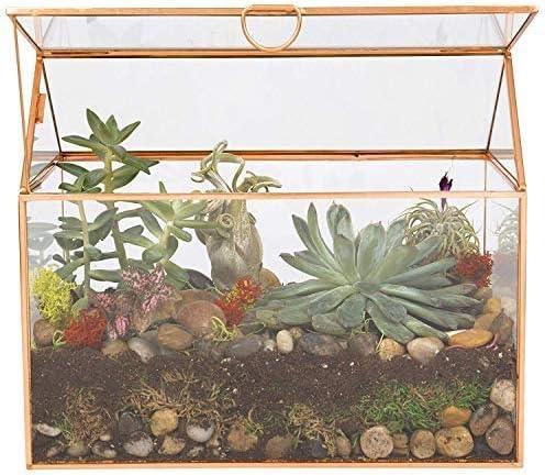 D'Eco Glass House Plant Terrarium (10