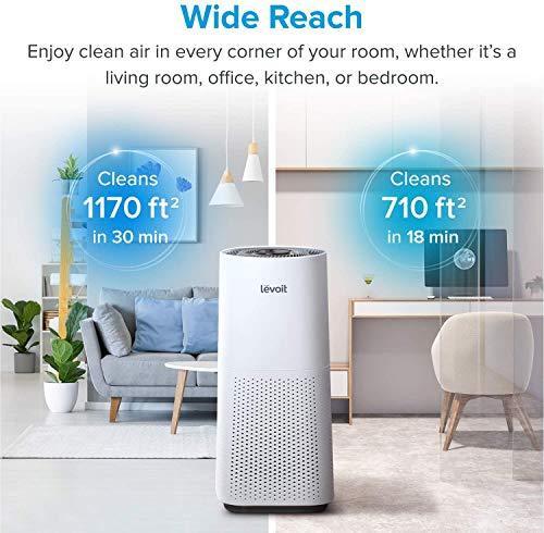 LEVOIT Air Purifier for Home Large Room with H13 True HEPA Filter - Gifts for You 'n Me