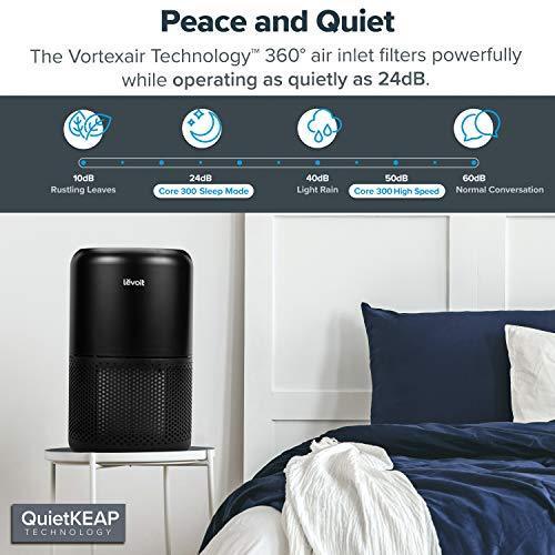 LEVOIT Bedroom Air Purifier with H13 True HEPA Filter - Gifts for You 'n Me