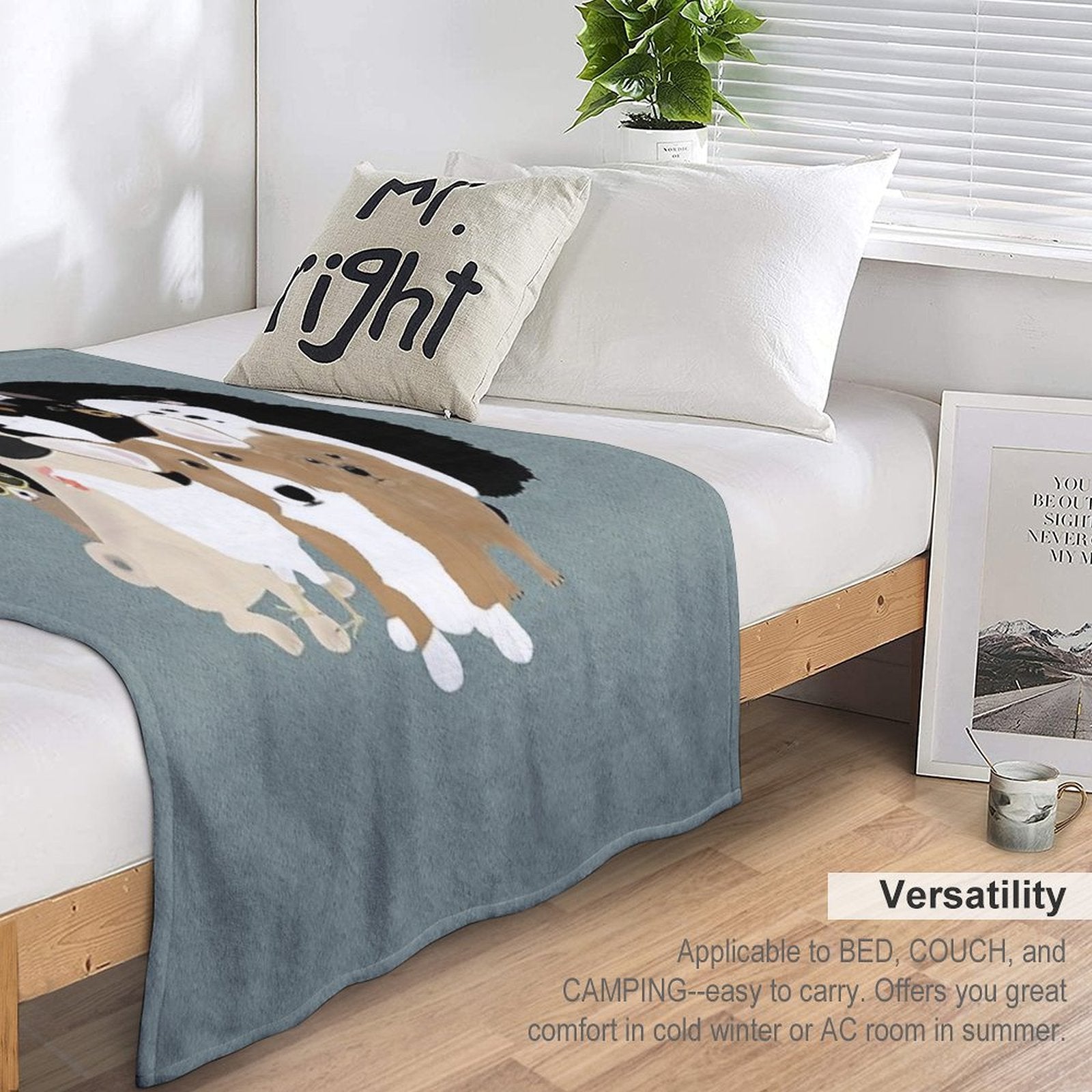 Dogs, A Cat And A Chicken Velvety-soft Throw Blanket