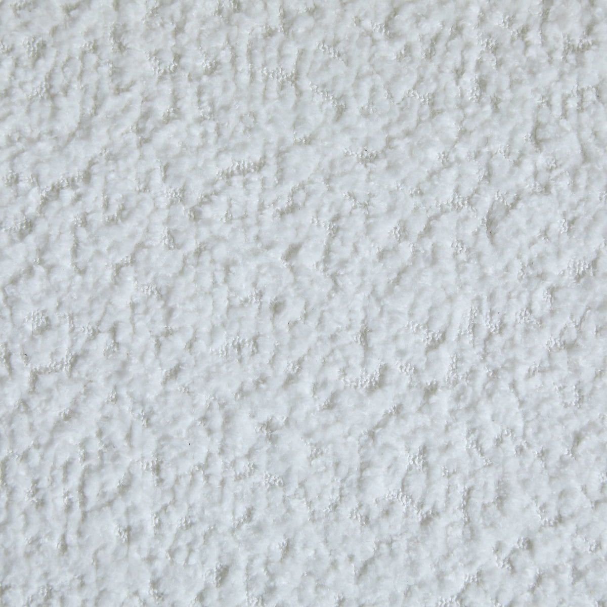 Coral 82