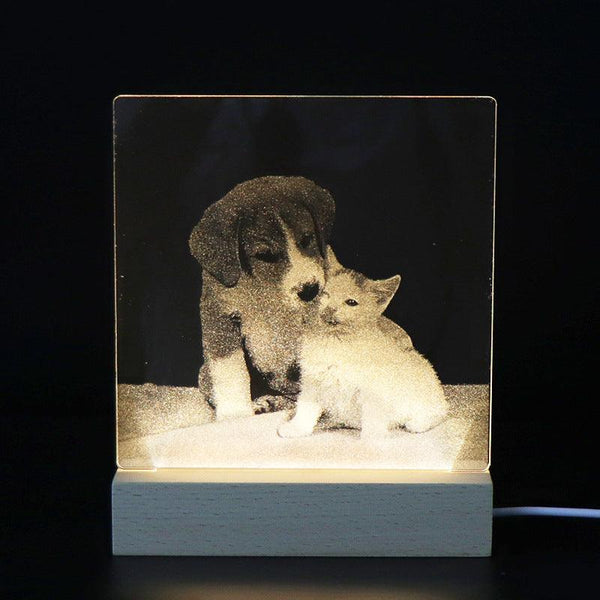 3D Image Internal Carving Laser Acrylic Bedhead Nightlight Plug in