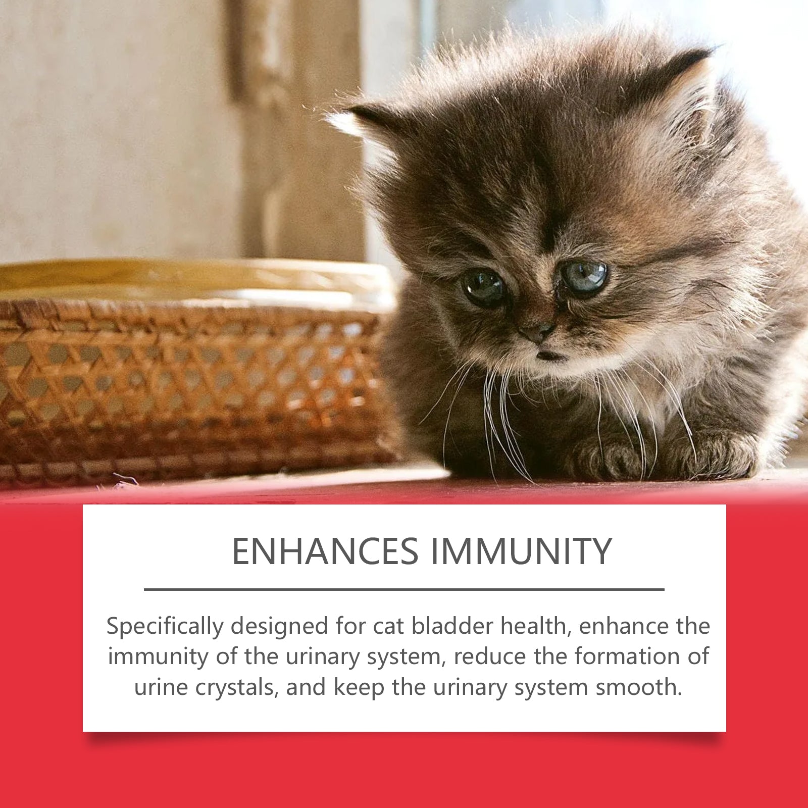 Pet Dietary Supplement, Take Care Of The Pet Body Discomfort Cat To Absorb Nutritional Supplements