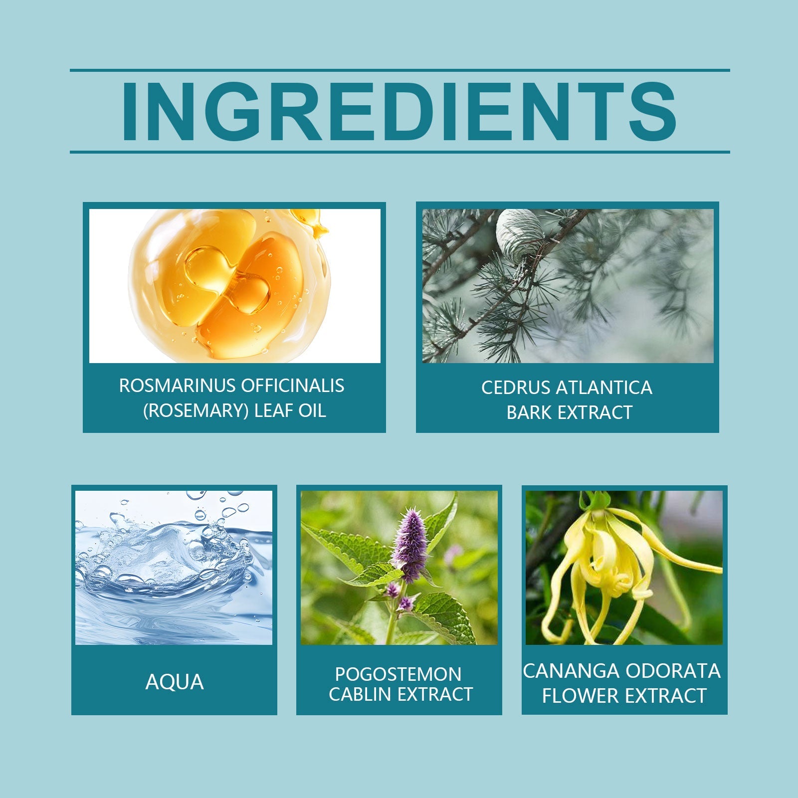 Cedar Blue Eau De Toilette, Natural, Fresh And Long-Lasting Fragrance Pheromone Fragrance Business Gentleman Charm Atmosphere Perfume