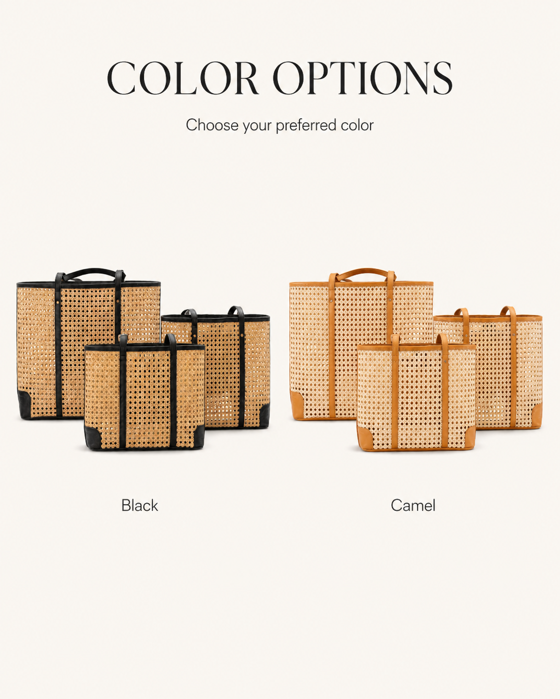 Dian Leather and Rattan Tote Bag
