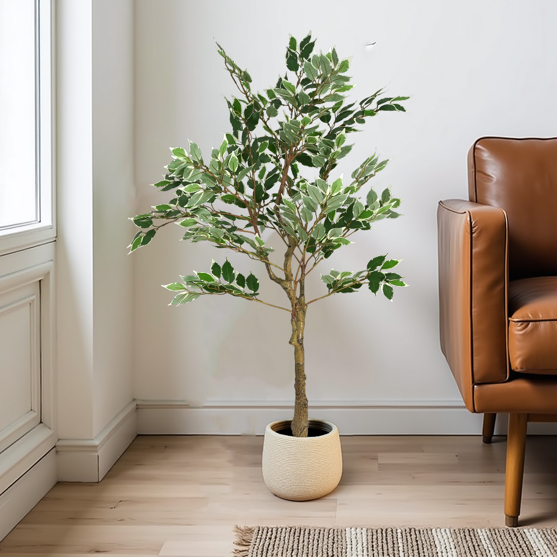 Potted plant in a room with a brown leather chair