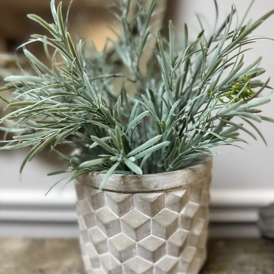 Geometric Cement Planter
