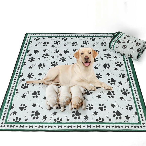 Scandinavian Minimalist Carpet Pet Mat, Stain-Resistant and Easy to Clean Sofa Coffee Table Mat, Urine-Proof Cat and Dog Pad