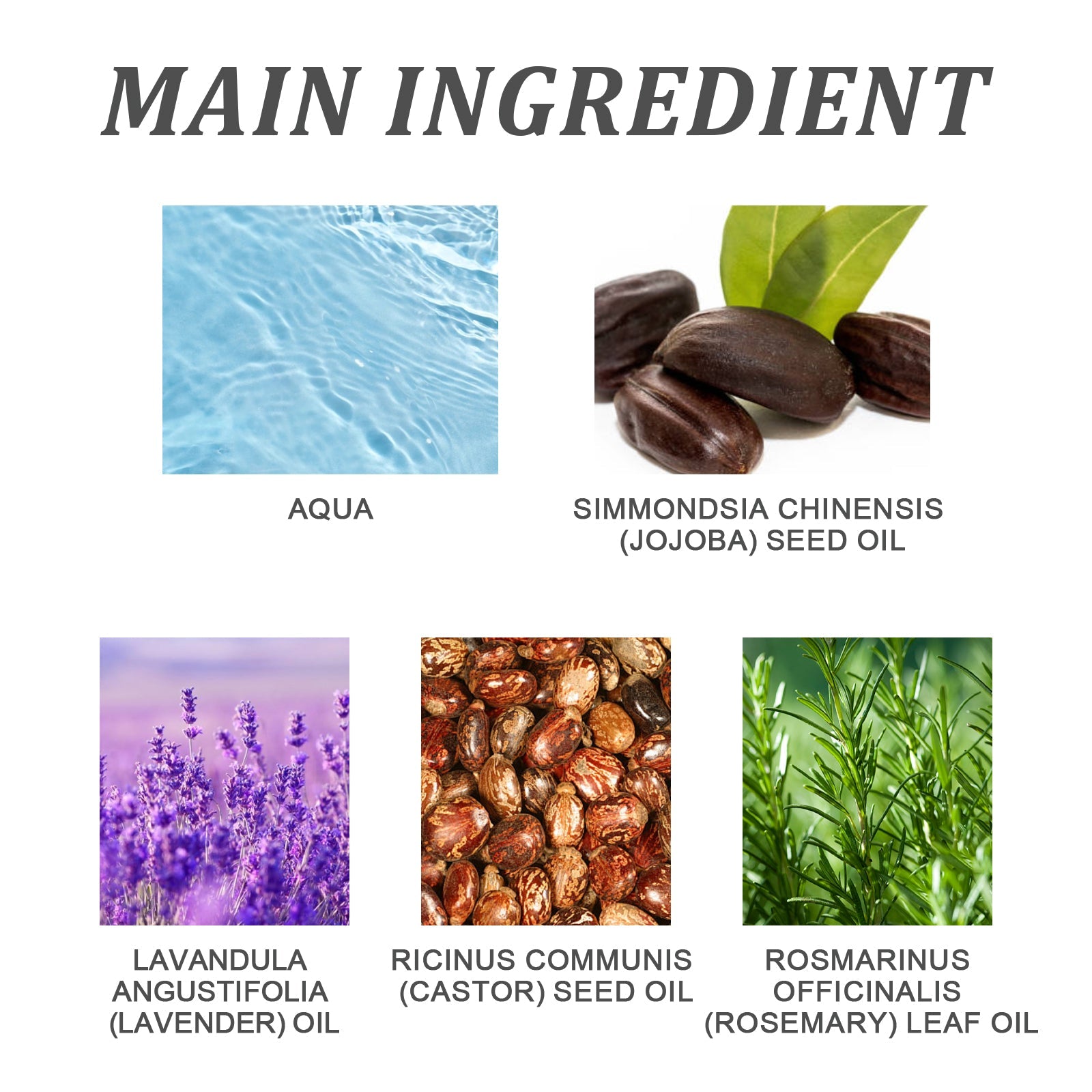 Hair Essential Oil, Scalp Massage Moisturizes And Softness To Prevent Strong And Thick Hair