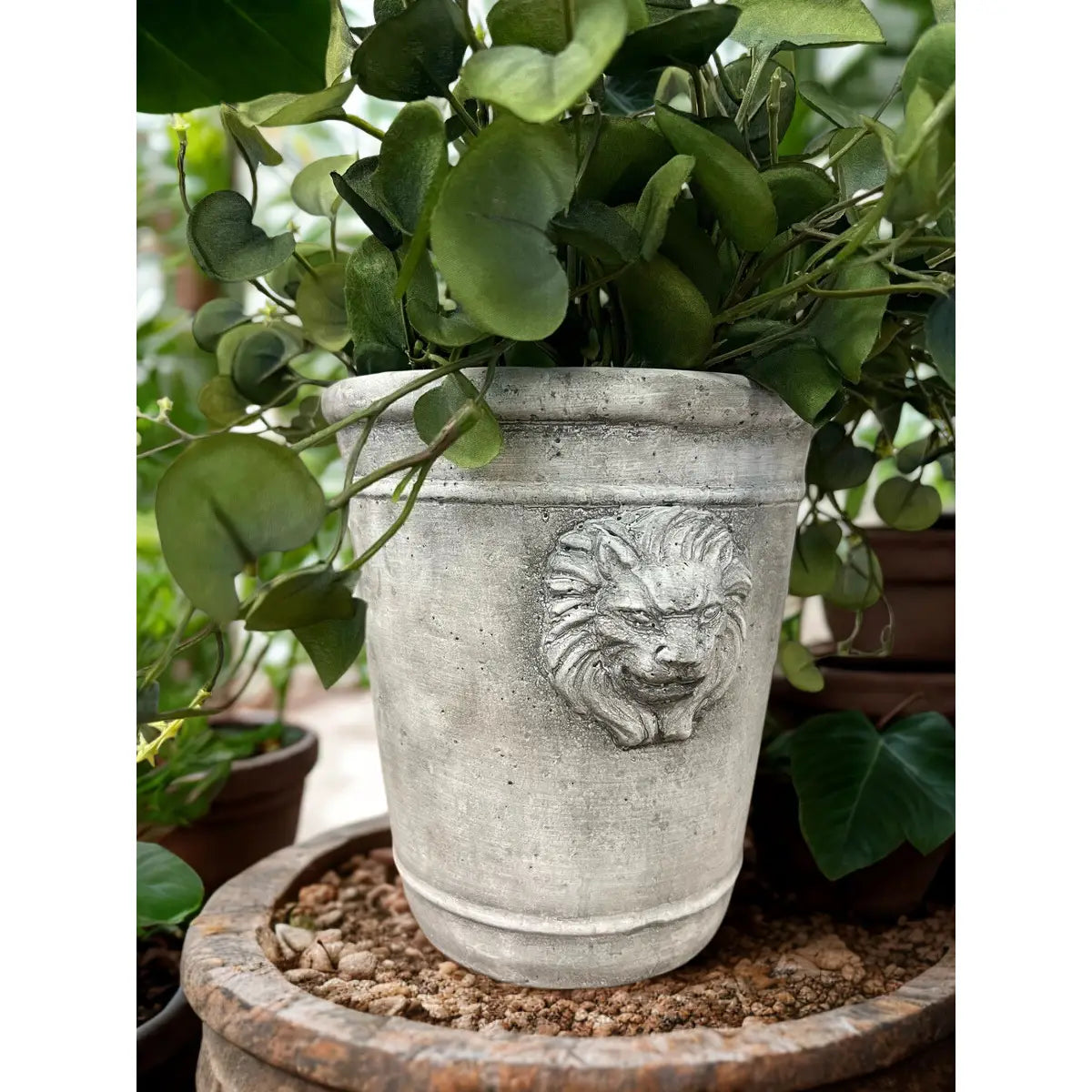 Cement Lion Planter