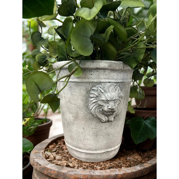 Cement Lion Planter