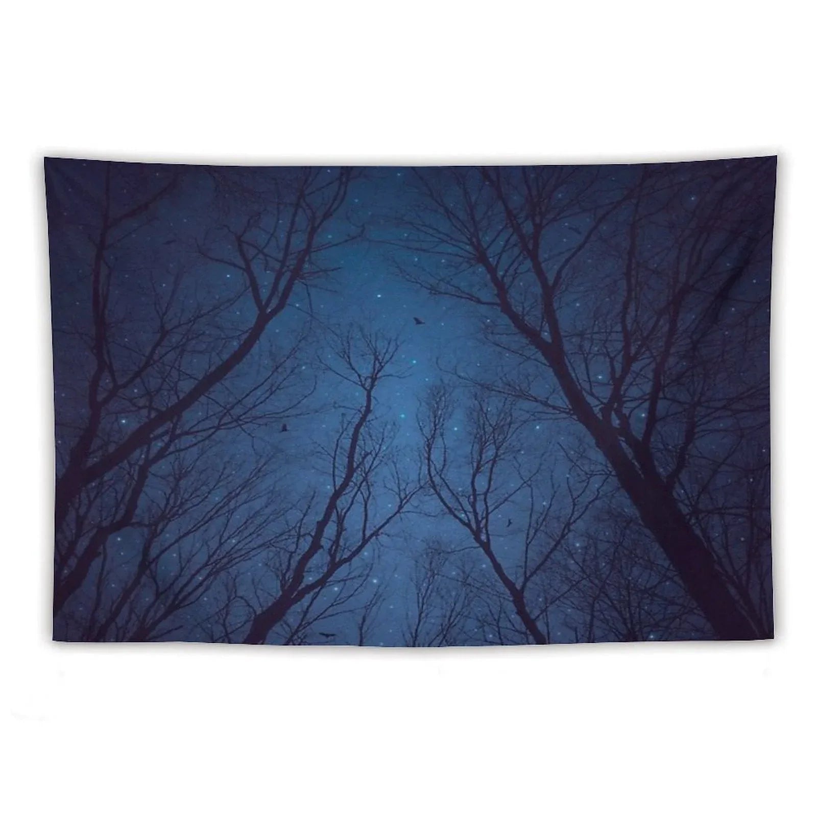 I Have Loved The Stars Too Fondly Tapestry