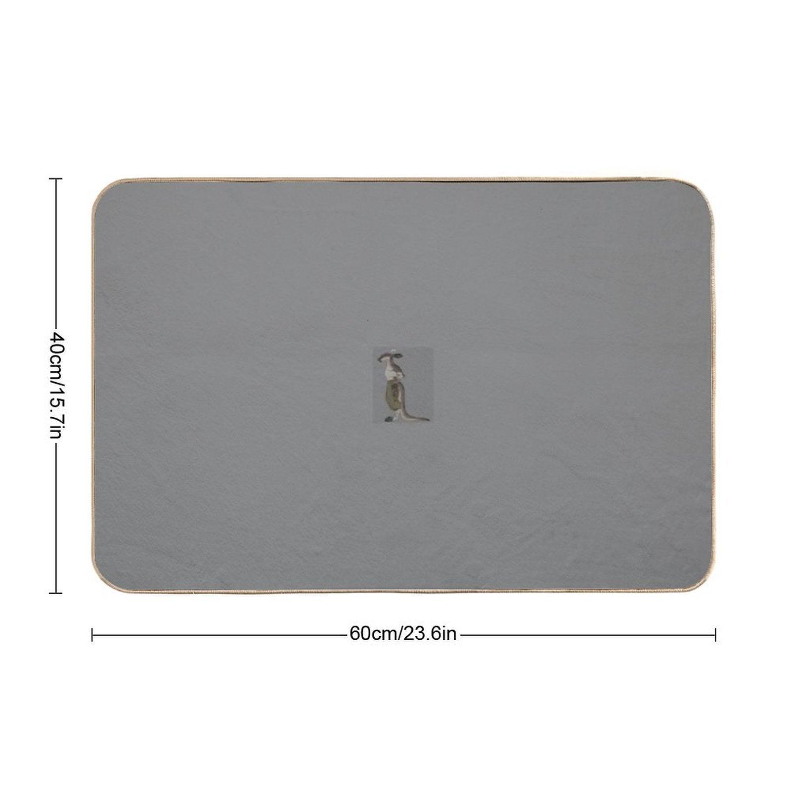 Why..  Multi-Purpose Bath Mat