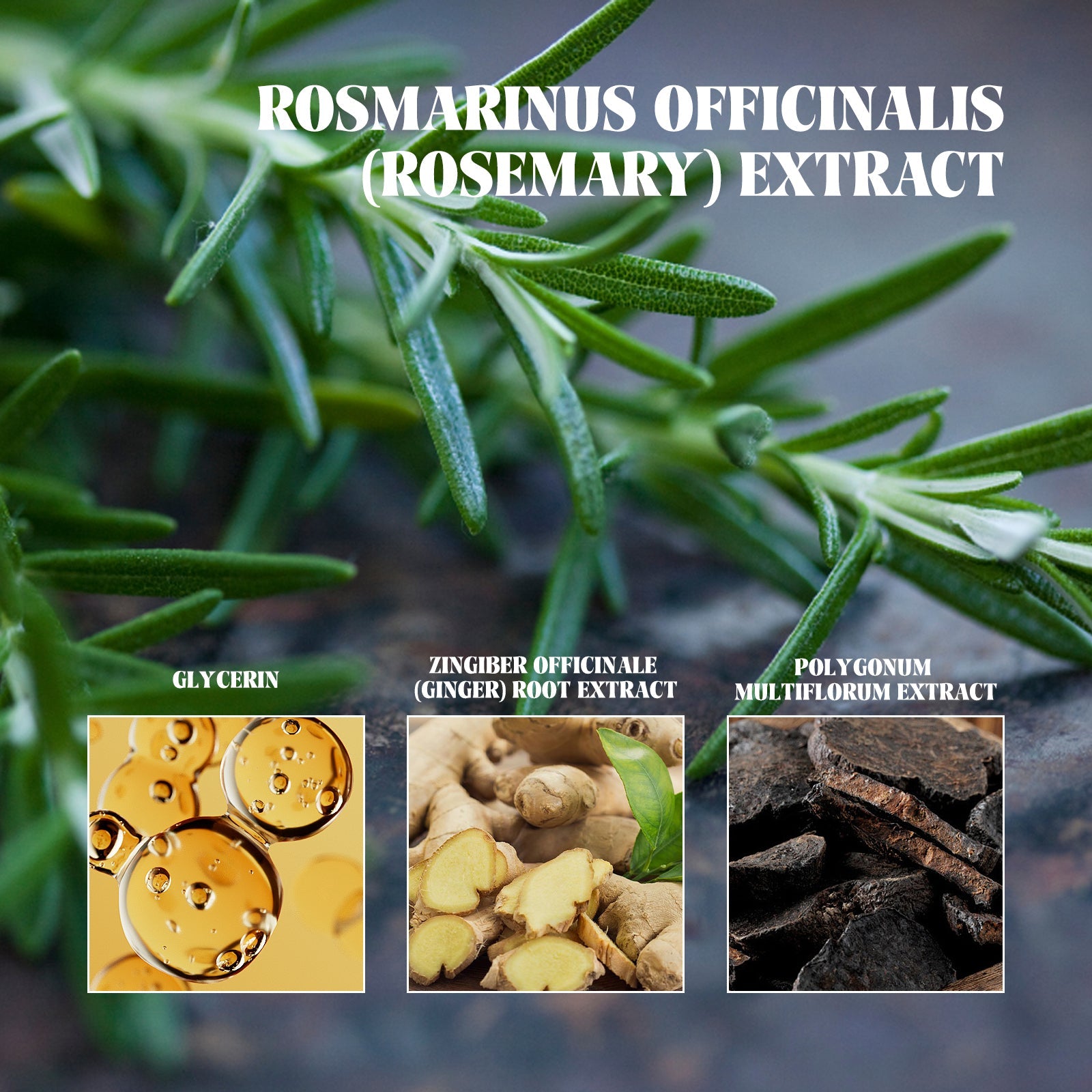 Hair Growth And Care Oil, Repair The Hair Dry Deep Moisturizing Smooth Hair Knot Not Dense Hair Oil