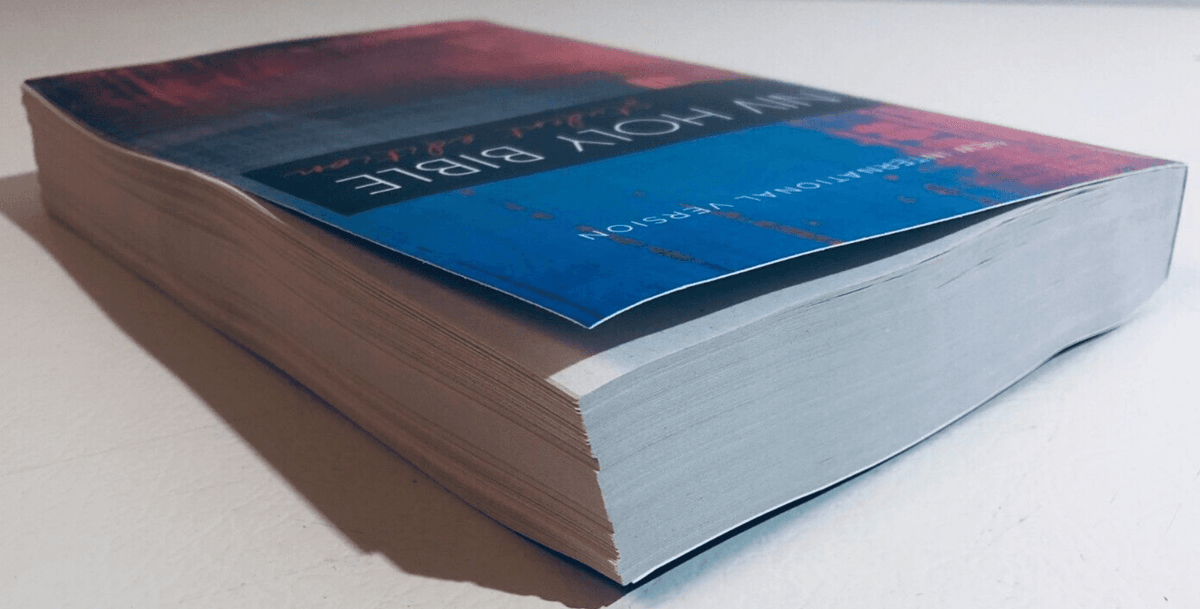 Zondervan NIV Bible Student Edition (2017)