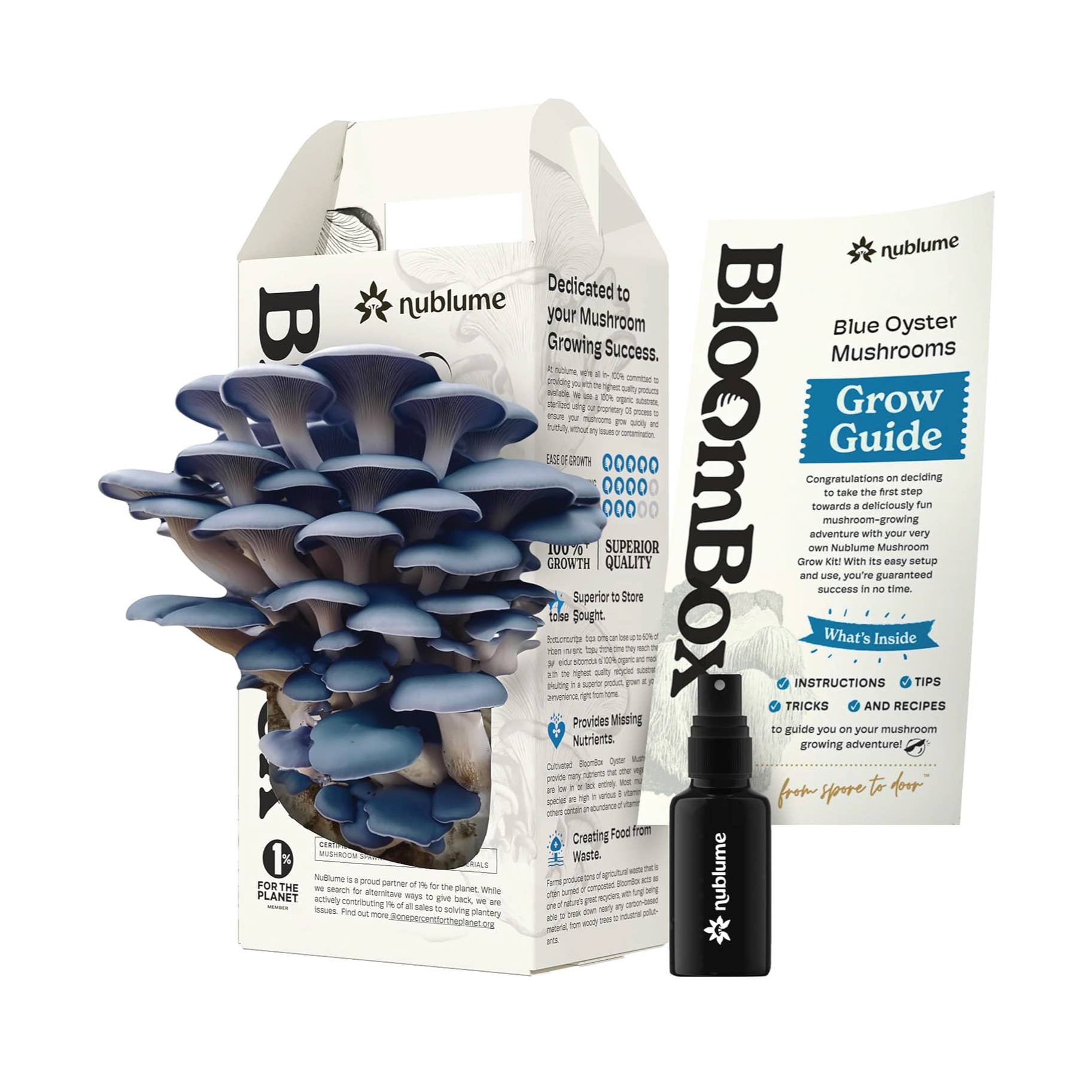 Blue Oyster Mushroom Kit – Indoor Garden Grow Kit for Gourmet Mushrooms