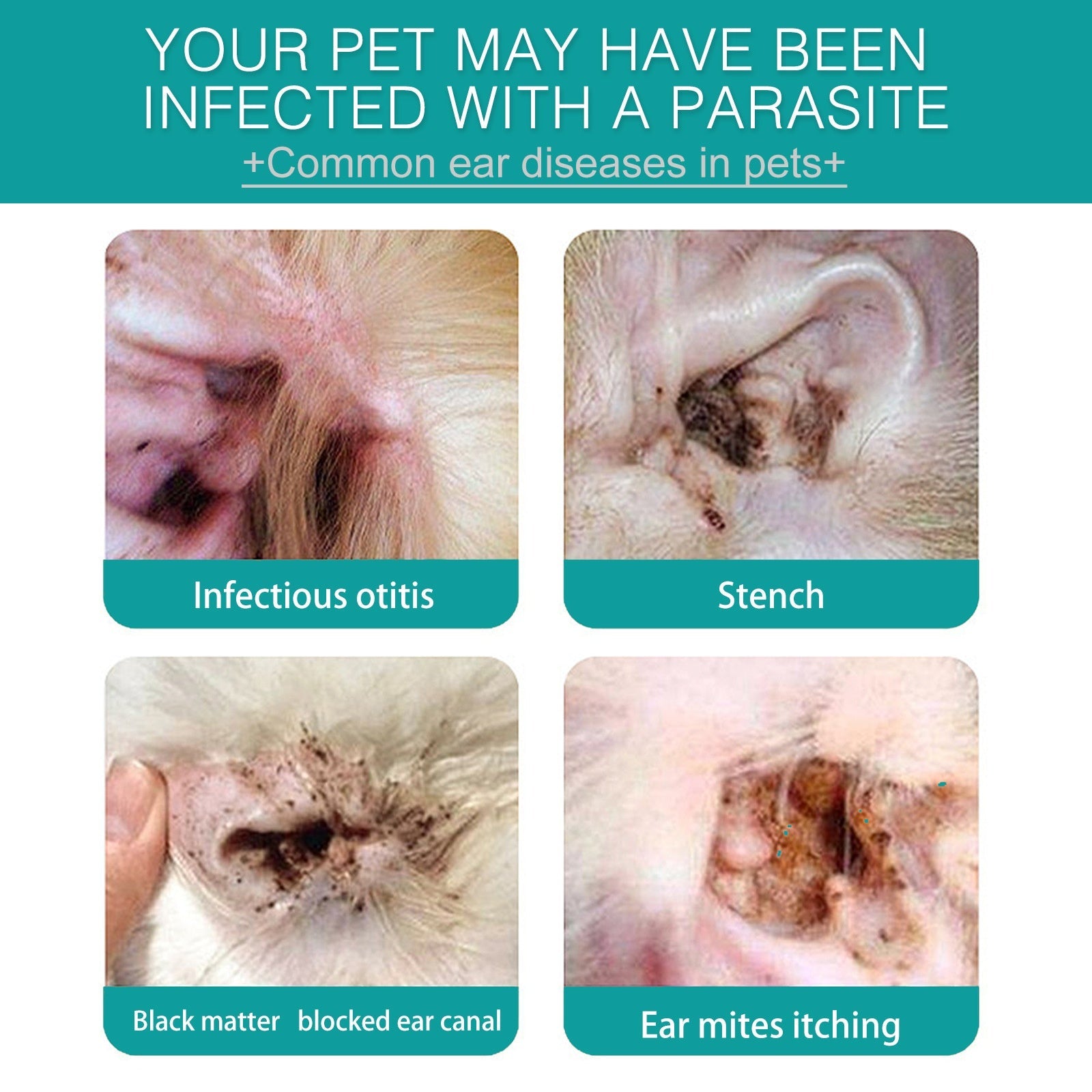 Pet Ear Cleaning Finger Sleeves for Cats and Dogs Ear Mite and Earwax Care Ear Canal Cleaning Finger Sleeves