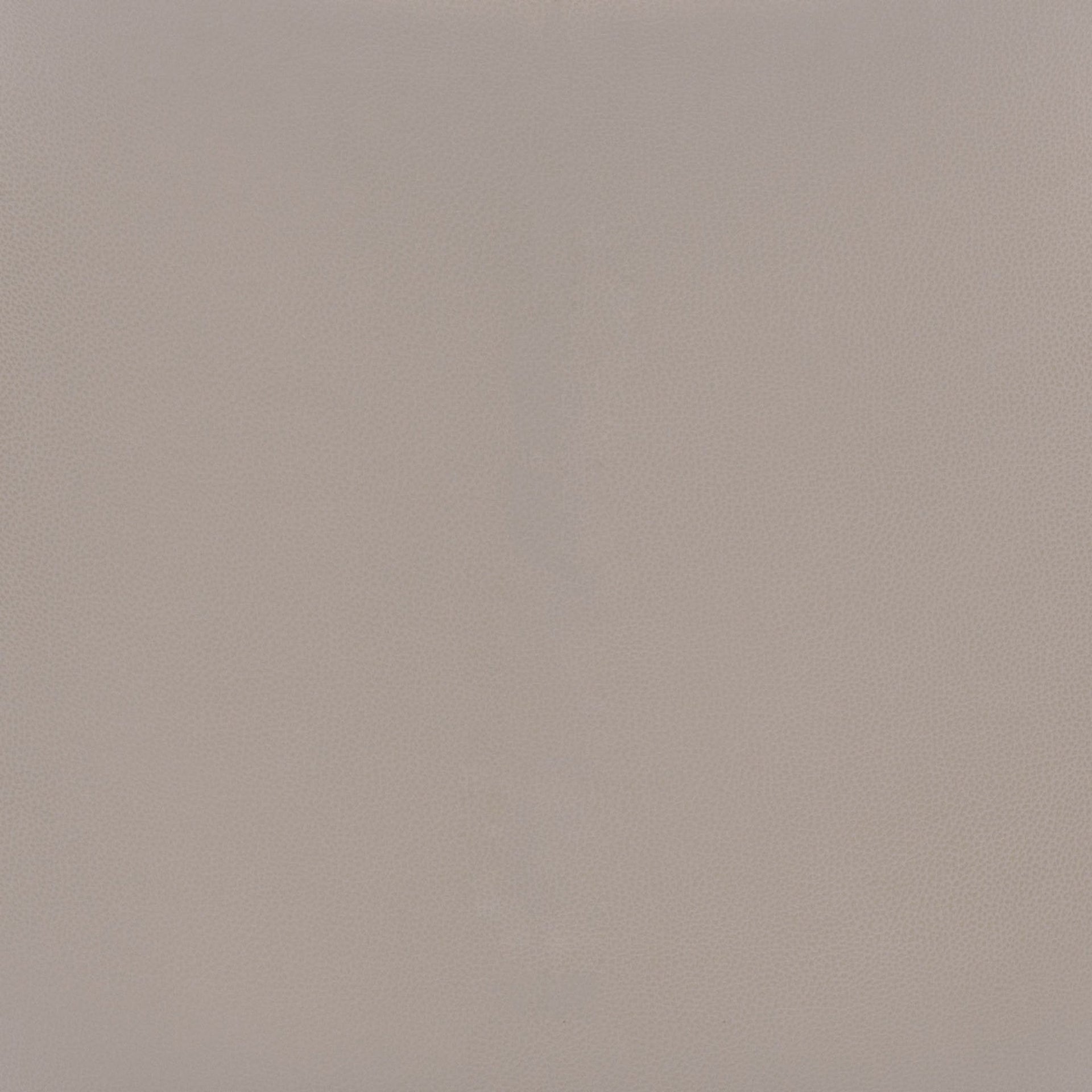 Magnus Counter Stool (Set of 2) Brown & Silver