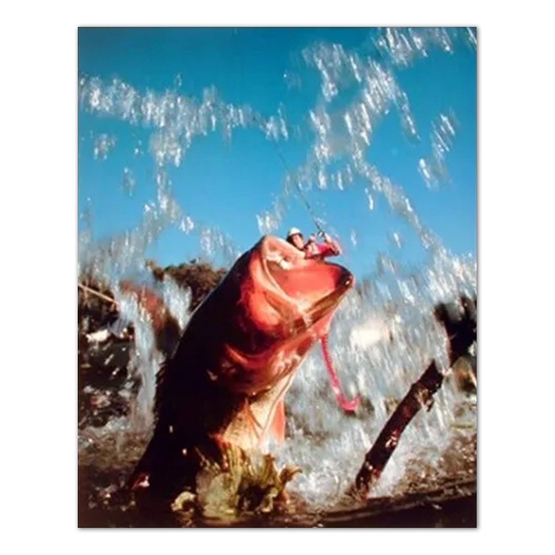 Bass Fishing Wall Art - Hooked Lure Picture | 16x20 High Quality Print