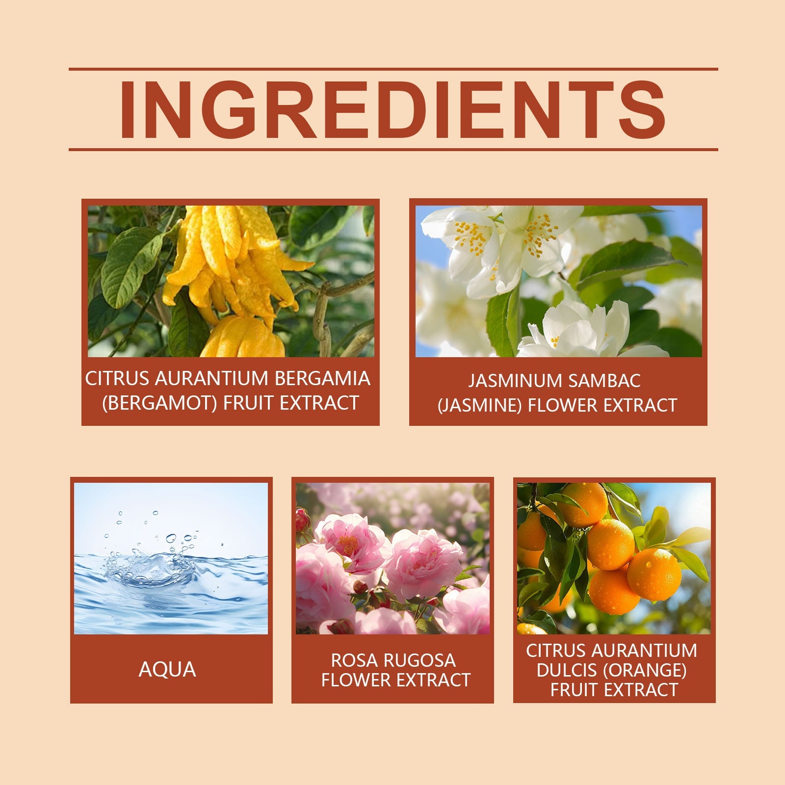 Autumn Perfume Citrus Flower Natural Fresh Light Fragrance Portable Lasting Fragrance Exudes Personal Charm Perfume