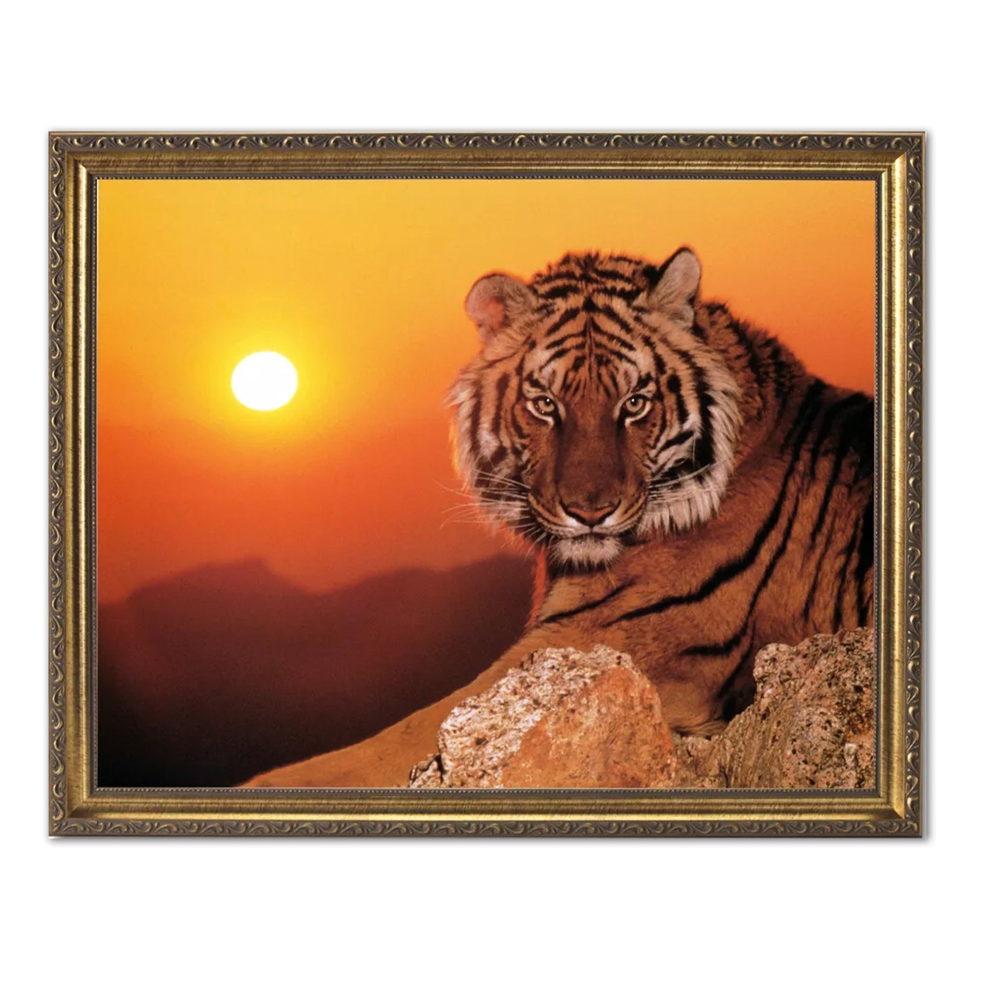 Gold Framed Art Print | Tiger Wall Art With Antique Poplar Wood Frame 16x20
