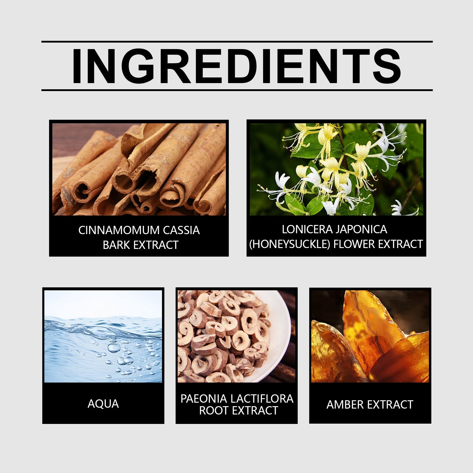 Cologne Roll-On Perfume Roll-On Perfume Fresh Charm Light Charm Fragrance Dating Portable Perfume