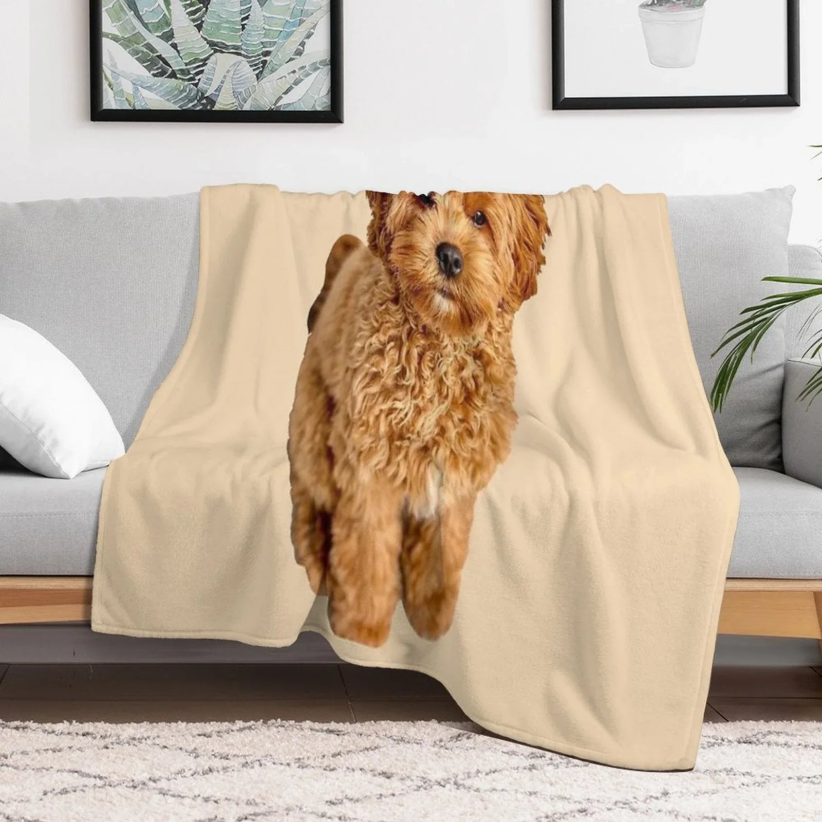 Cavapoo Throw Blanket