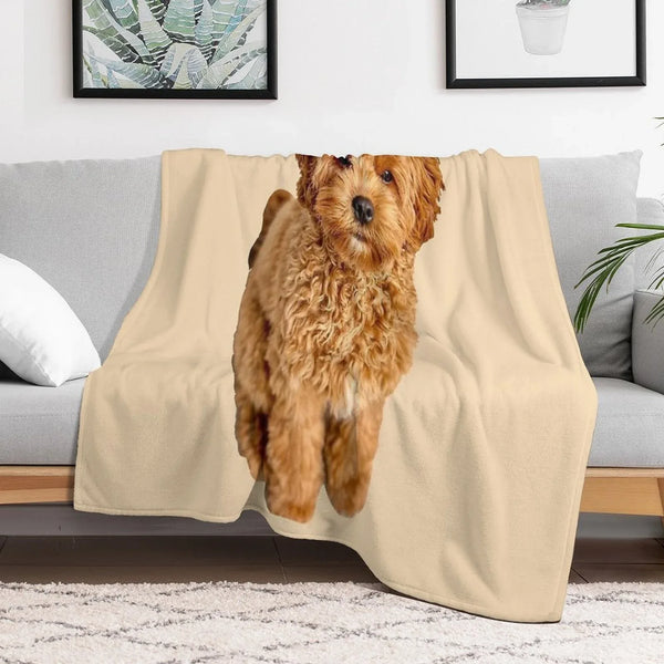Cavapoo Throw Blanket
