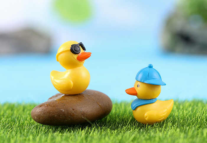 Bryophyte Miniature Landscapes, Succulent Plant Decorations, Doll Figurines, Travel Duck Souvenirs, DIY Material Kits