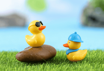 Bryophyte Miniature Landscapes, Succulent Plant Decorations, Doll Figurines, Travel Duck Souvenirs, DIY Material Kits