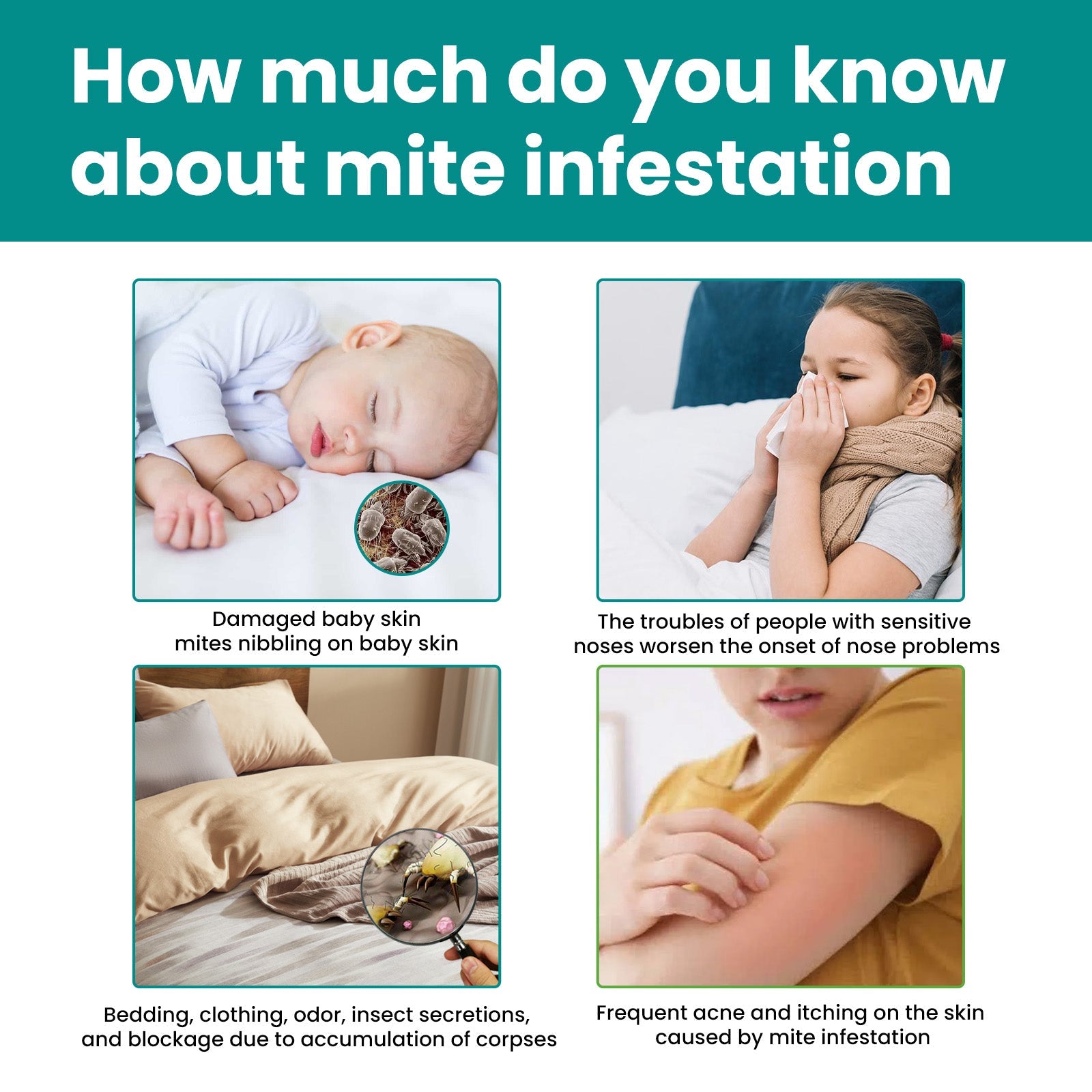 Herbaceous Mite Control Kit Travel Outdoor Camping Home Bedding Clothing Herbaceous Mosquito Repellent Mite Control