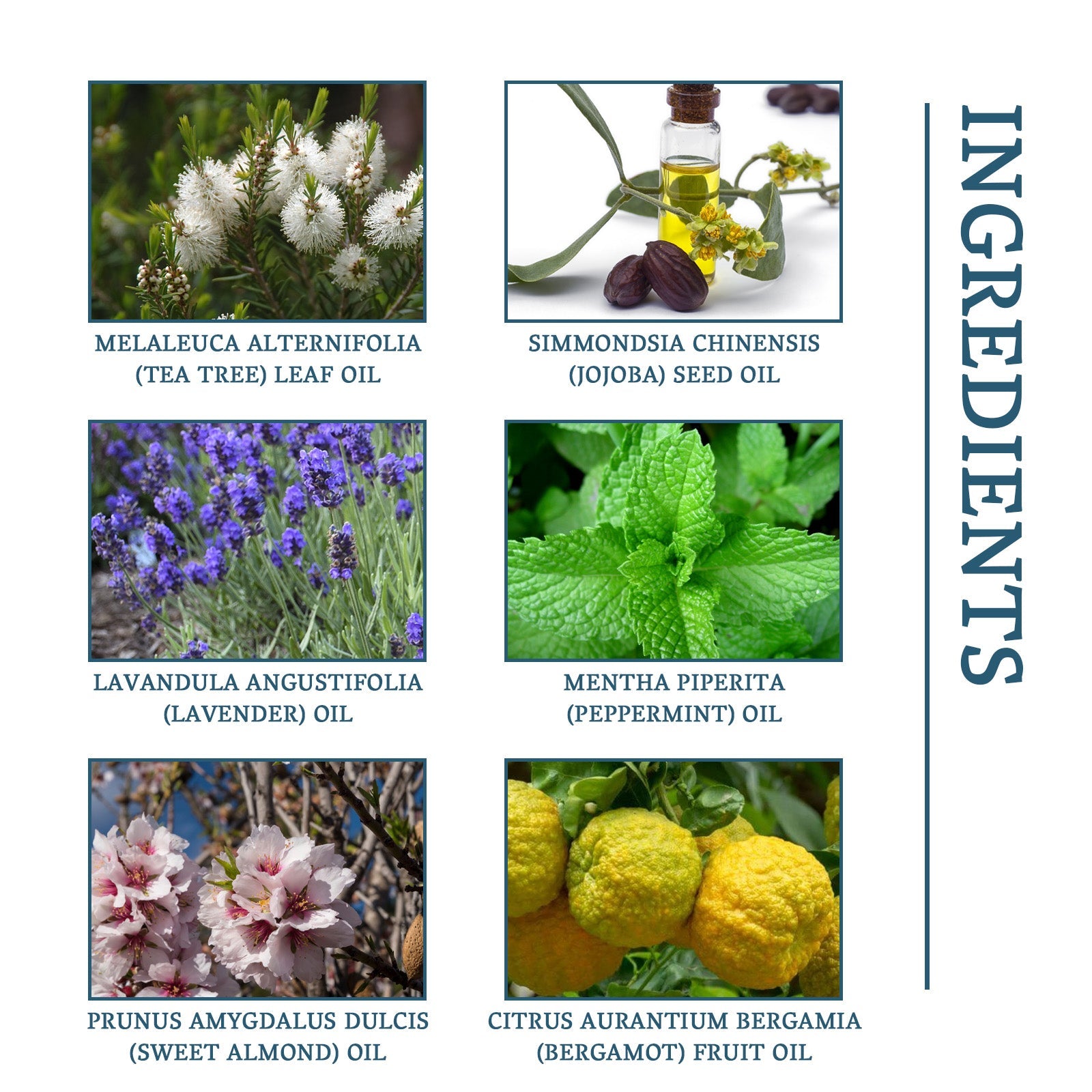 Nail Fungus Treatment, Nail Thickening Of Embedded Light Mail This Soft Armour Brothers Nails Detailer