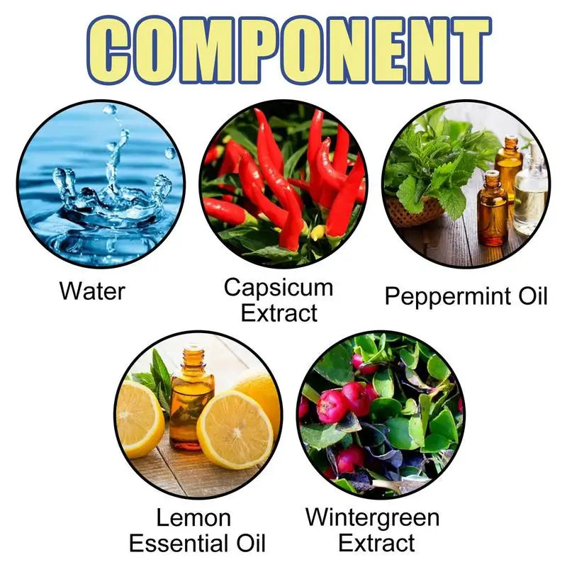 Car Household R odent R epellent Engine Compartment Medicine 60ML Anti-Mouse Trap Anti-Fantastic Mouse Trap Electric Cat Spray