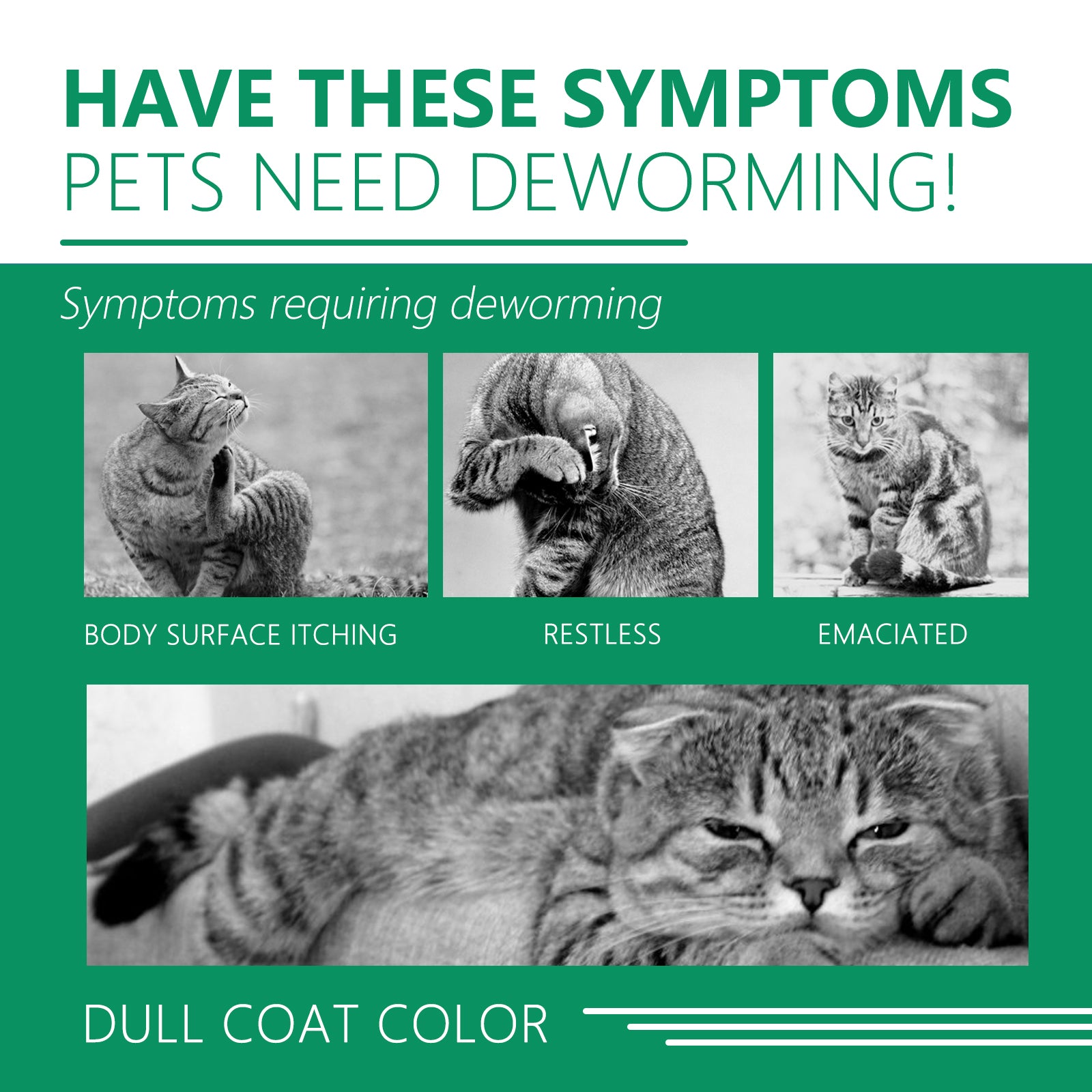 Pet Deworming Collar, Flea Resistant Tick Resistant Pet Waterproof Adjustable Deworming Collar