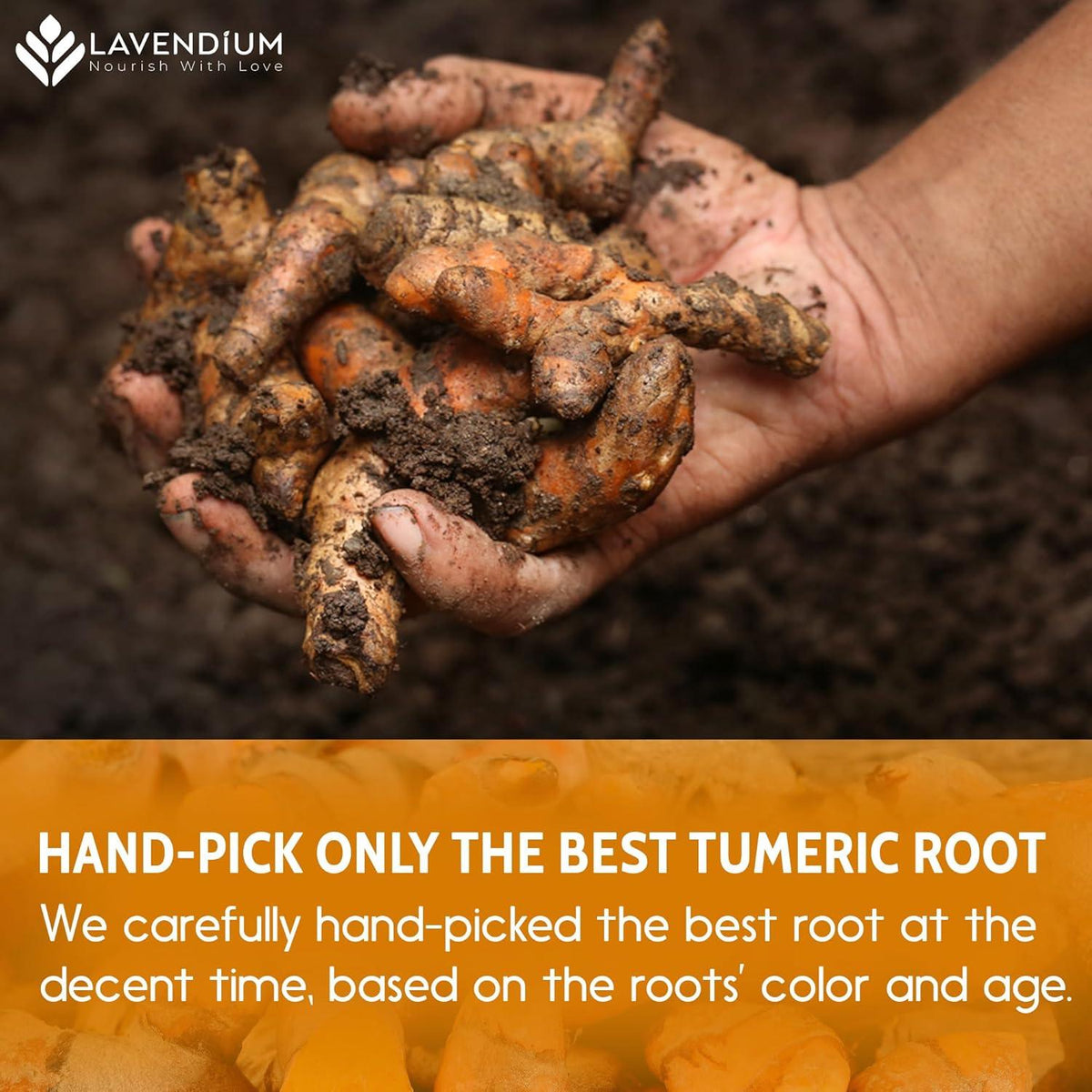 Turmeric Powder, 100% Natural & Pure, Ground, Seasoning Root Powder, No Additives, No Gluten, Vegan