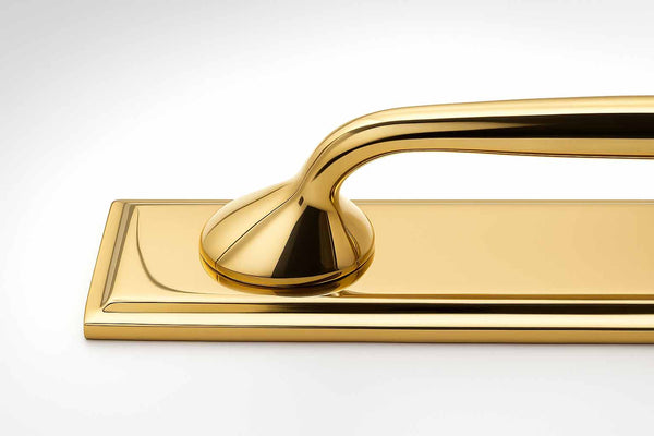 Richmond Cabinet Pulls with Backplate - Unlacquered Brass Polished
