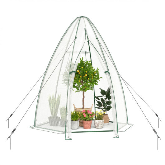 5.5 x 5.5 x 6 Feett Portable Garden Mini Greenhouse with All-Weather PE Cover-White
