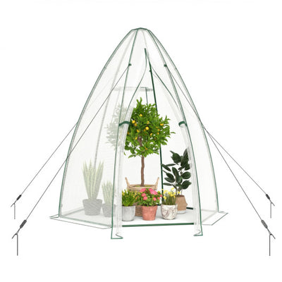5.5 x 5.5 x 6 Feett Portable Garden Mini Greenhouse with All-Weather PE Cover-White