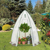 5.5 x 5.5 x 6 Feett Portable Garden Mini Greenhouse with All-Weather PE Cover-White