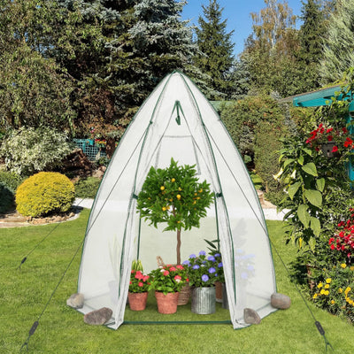 5.5 x 5.5 x 6 Feett Portable Garden Mini Greenhouse with All-Weather PE Cover-White