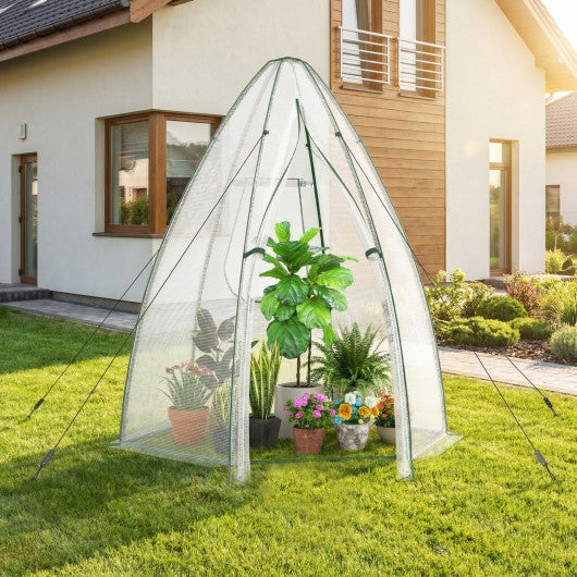 5.5 x 5.5 x 6 Feett Portable Garden Mini Greenhouse with All-Weather PE Cover-White