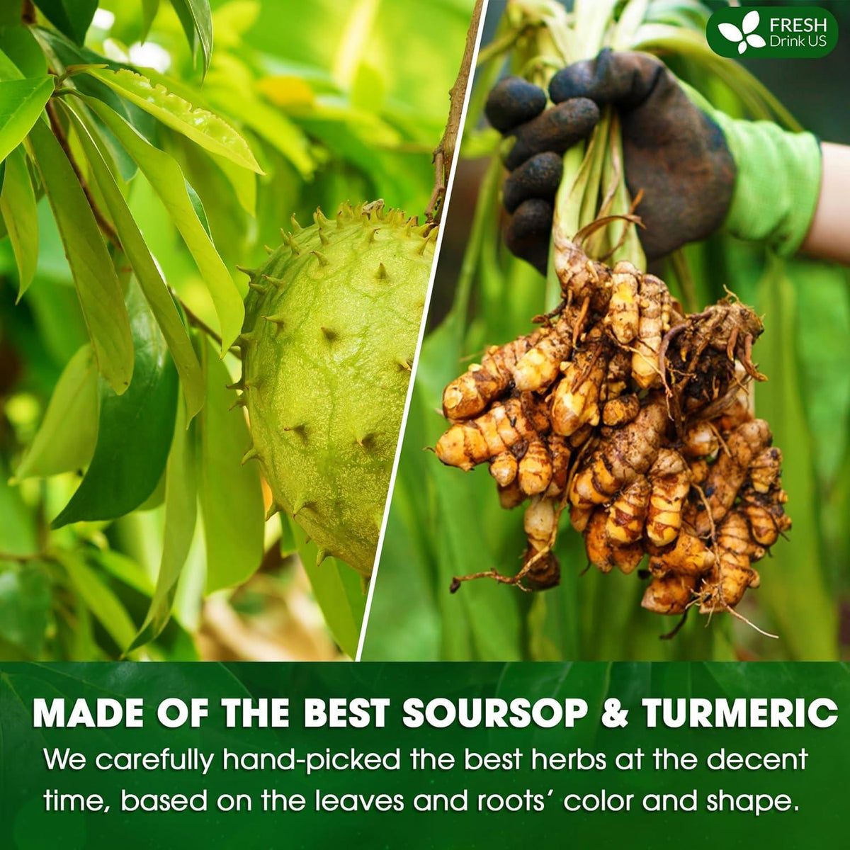 Premium Soursop Turmeric Tea Bags | Blend of Soursop Leaves, and Turmeric Root