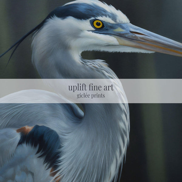 Blue Heron Portrait Canvas Art Print
