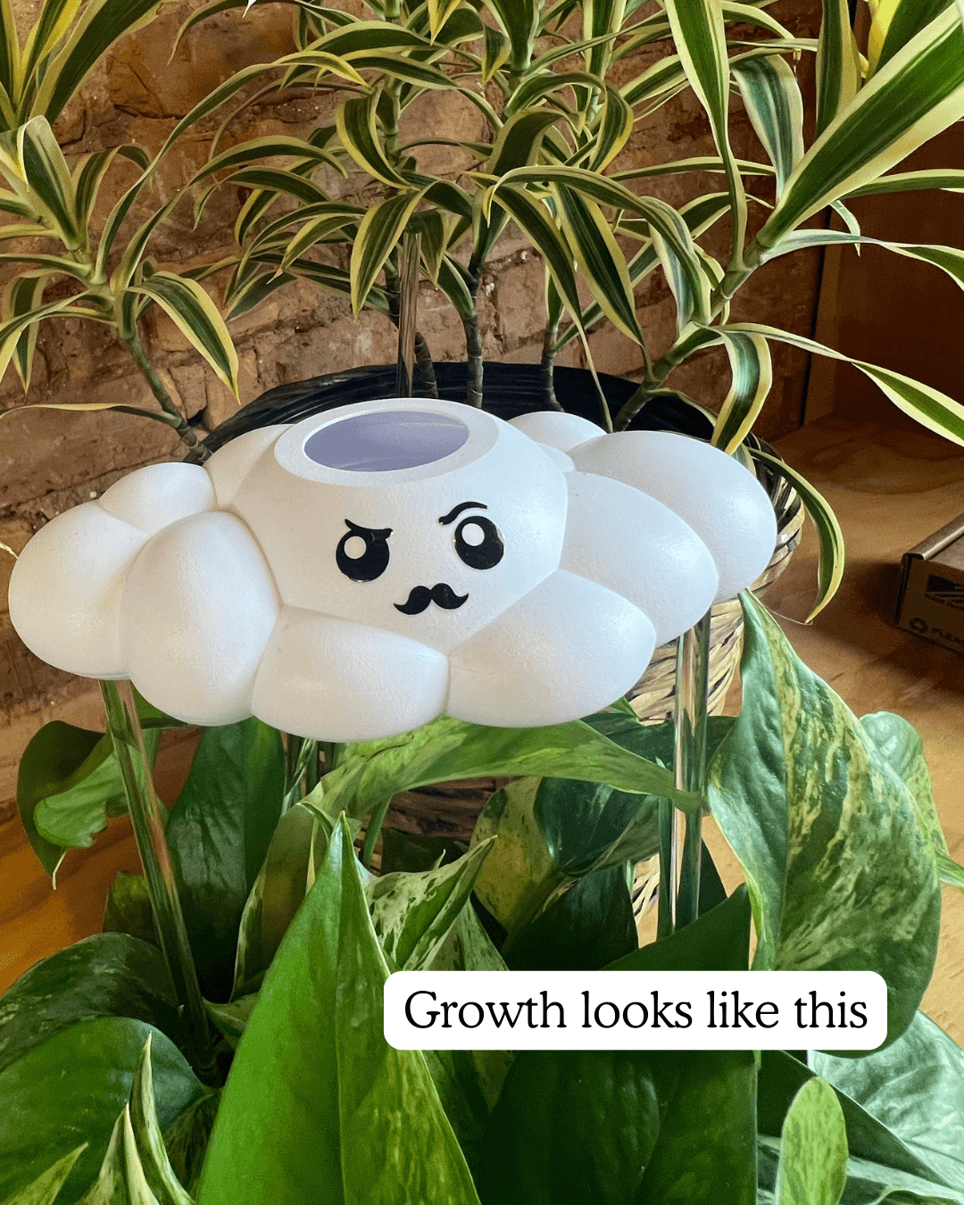 Carl the Cloud