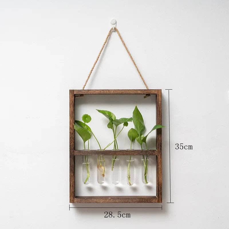 Plant Propagating Frame - Wooden Photo Frame Planter for Indoor Plant Propagation