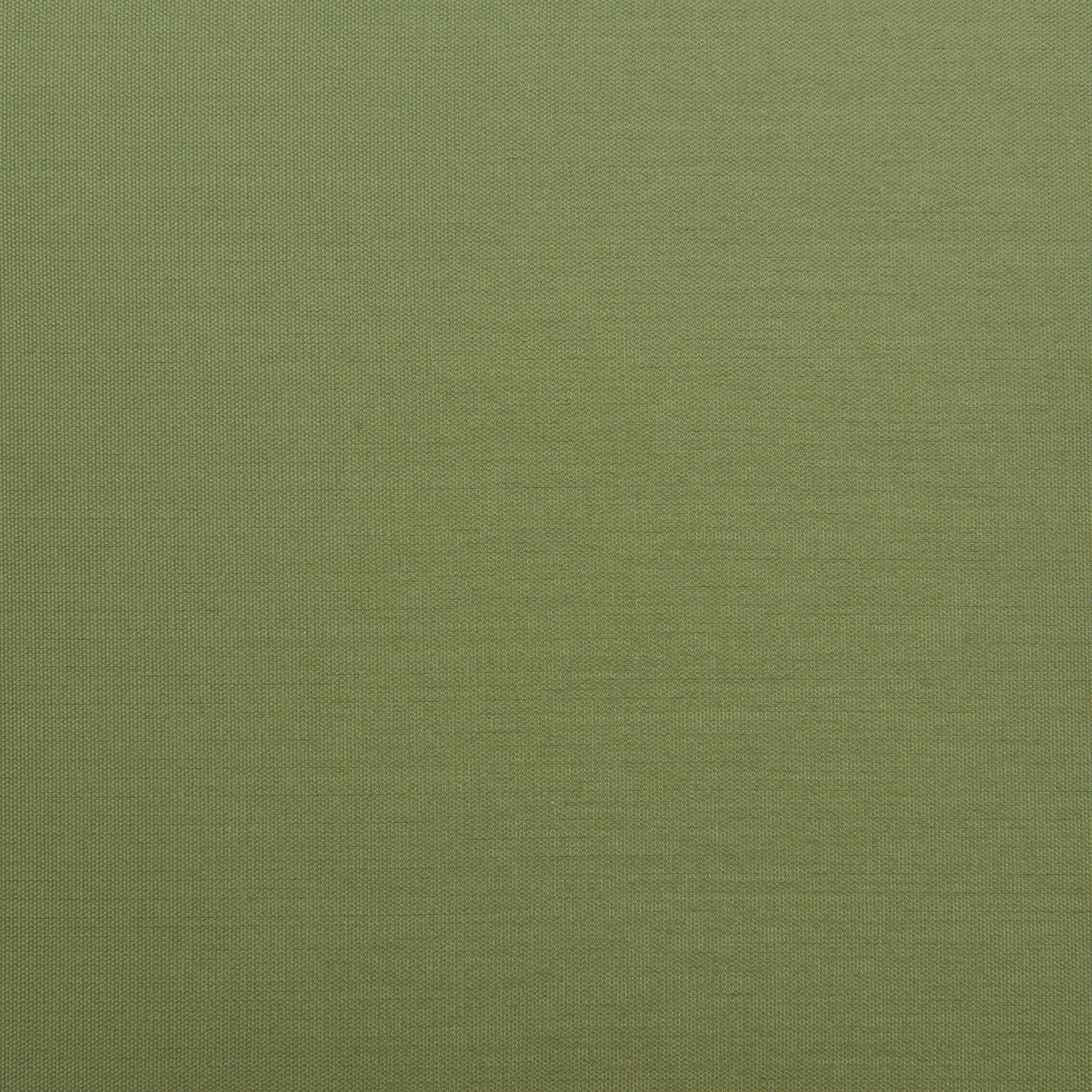 Skye Dining Chair (Set of 2) Green