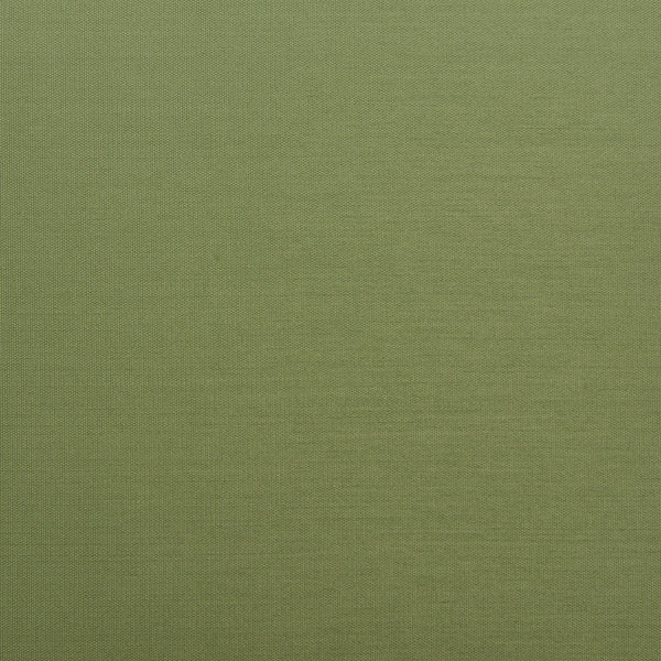 Skye Dining Chair (Set of 2) Green